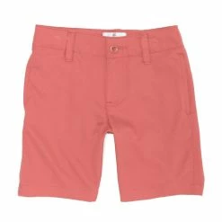 Buy ✨ Class Club Little Boys 2T-7 Synthetic Performance Shorts Airy Blue 🥰 -Class Club Shop unnamed file 600