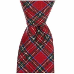 Budget ❤️ Class Club Boys 50#double; Holiday Plaid Tie Red 🎁