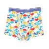 Discount ⌛ Adventure Wear By Class Club Little Boys 2T-5T Dino Print Boxer Briefs Dino Multi ❤️
