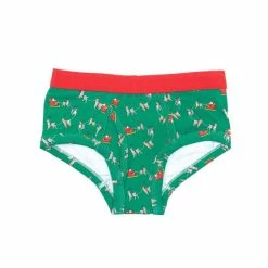 Best deal 😀 Adventure Wear By Class Club Little Boys 2T-7 Santa's Sleigh Briefs Green ❤️