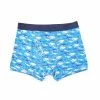 Buy 🔔 Adventure Wear By Class Club Little Boys 2-5 Shark Print Boxer Briefs Blue 🧨