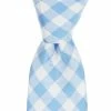 Hot Sale 👏 Class Club Boys Gingham 50#double; Tie Blue 🔔